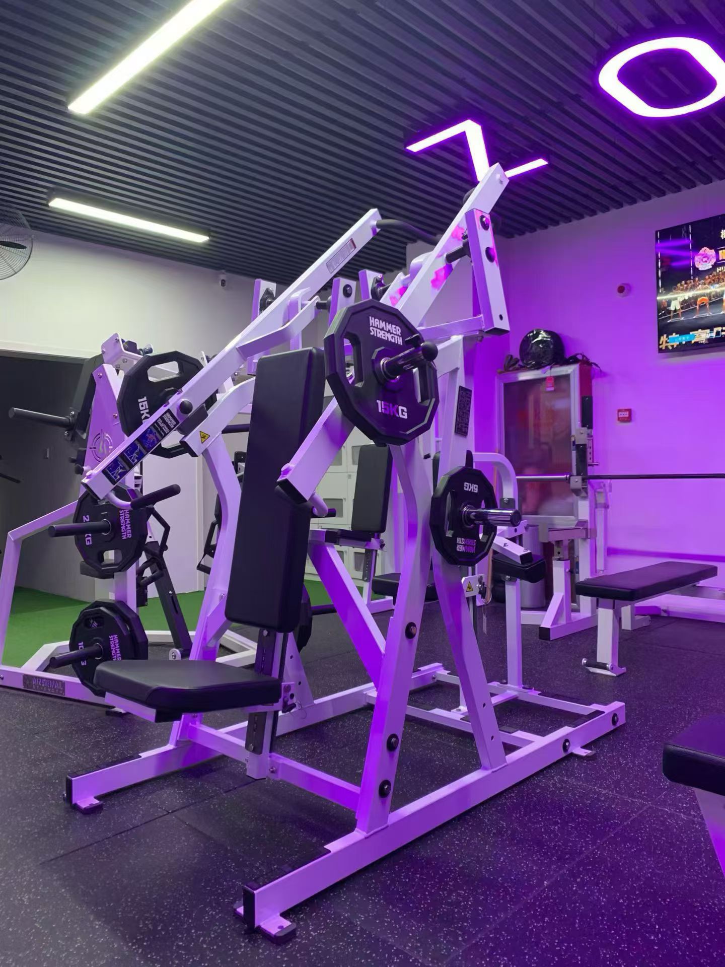 XM02 Triceps Extension Machine