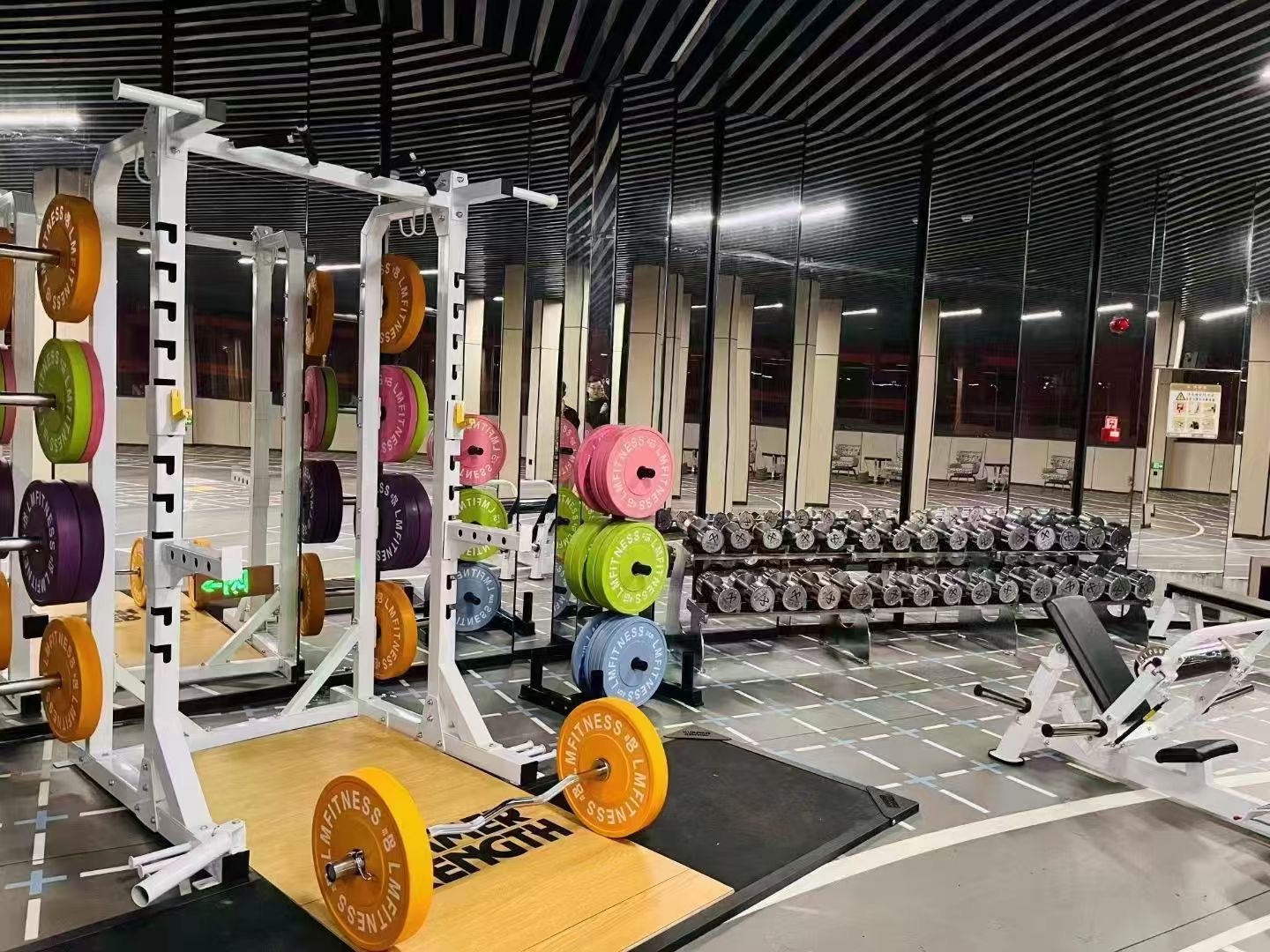 The Future of the Fitness Equipment Industry: Trends and Market Insights