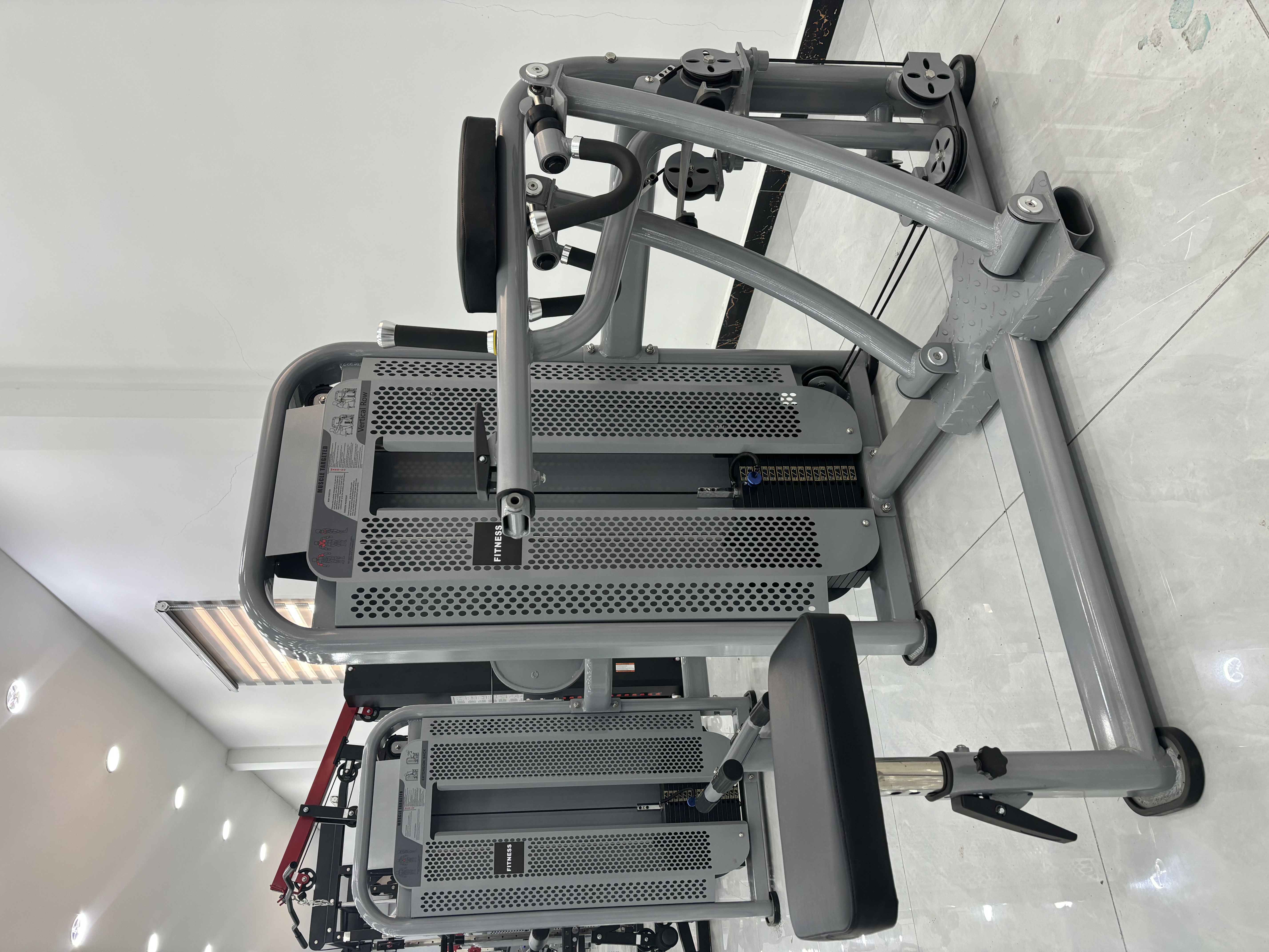 Free Weights vs Strength Machines