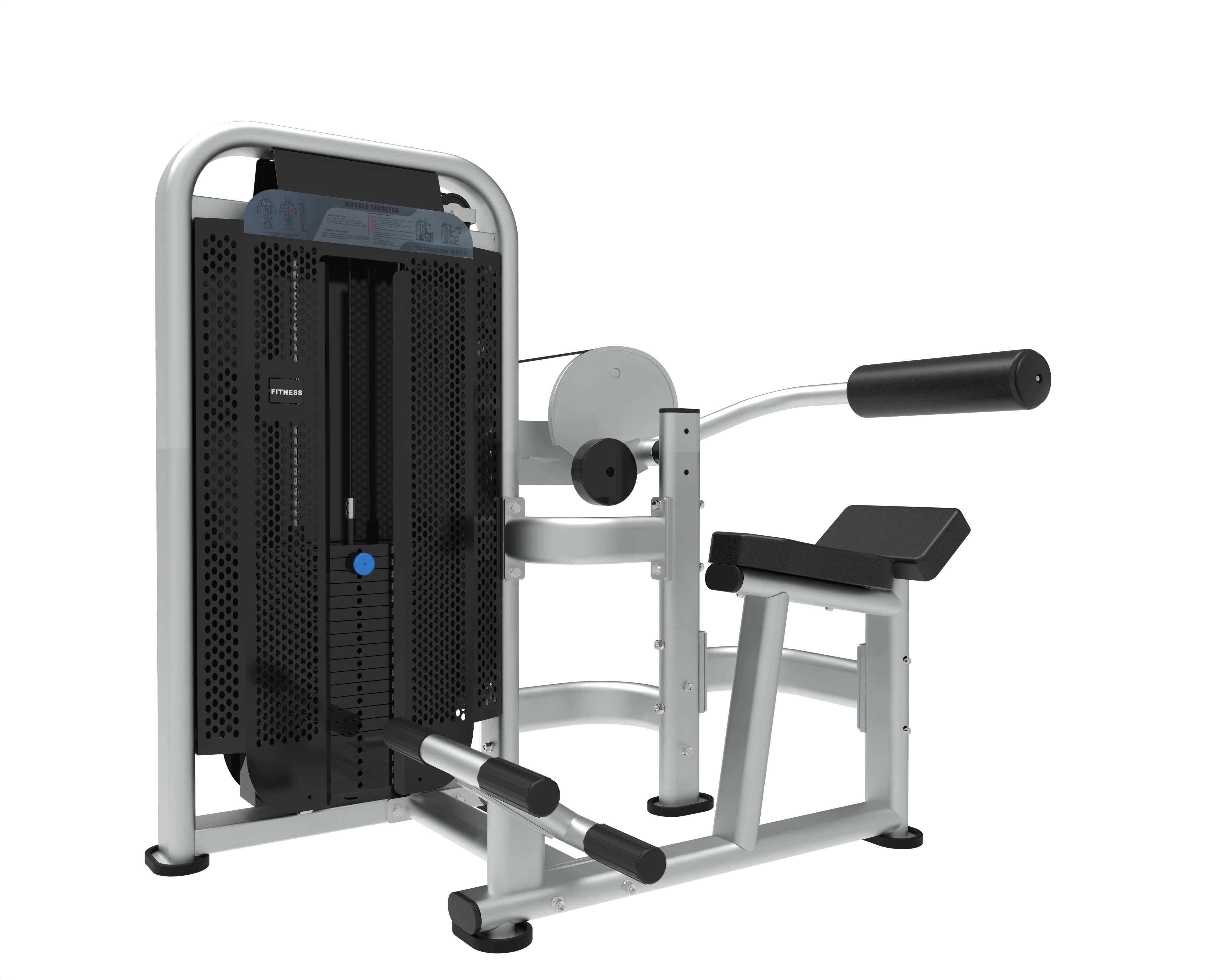 XM02 Triceps Extension Machine