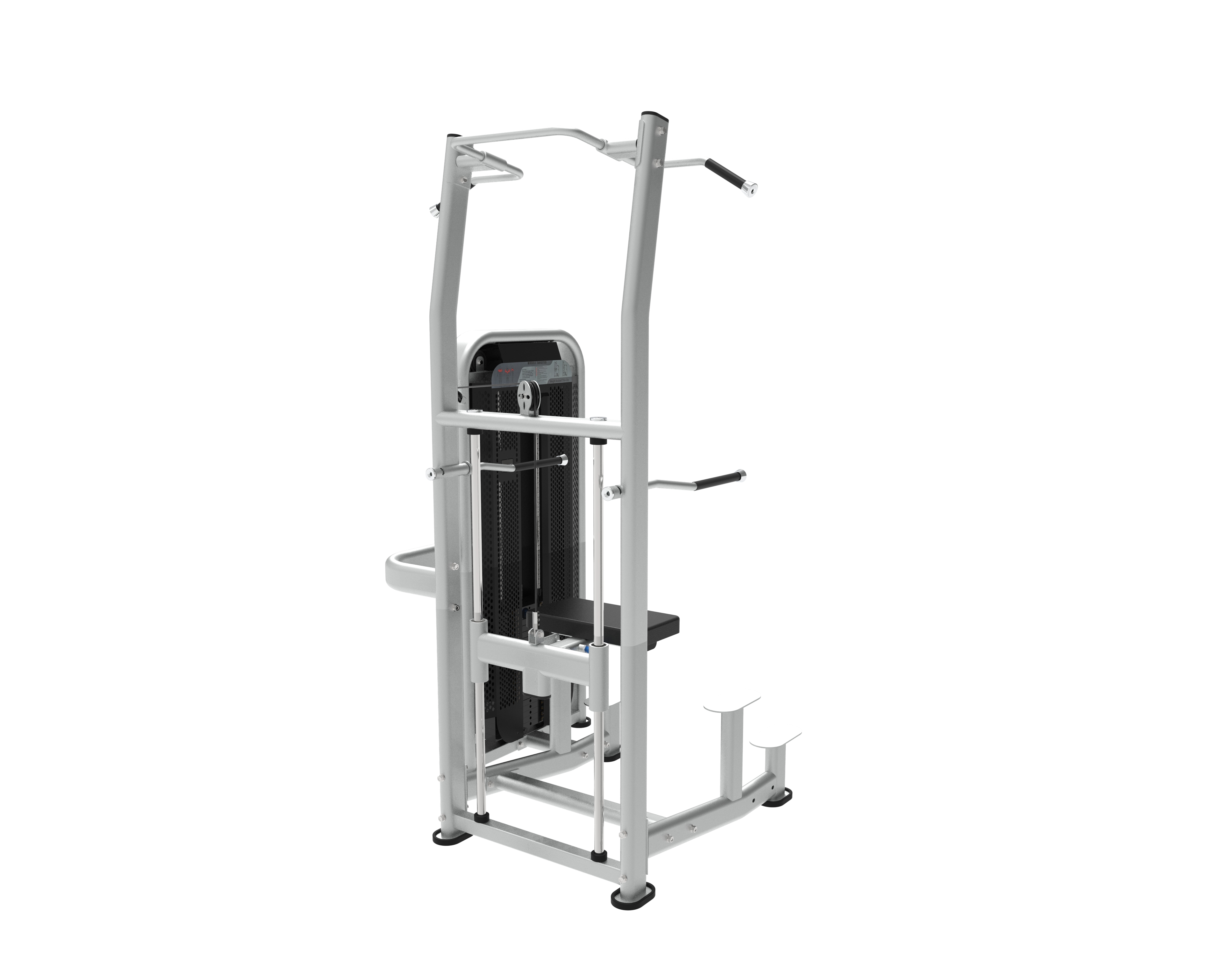 XM20 Assisted Dip & Pull-Up Machine